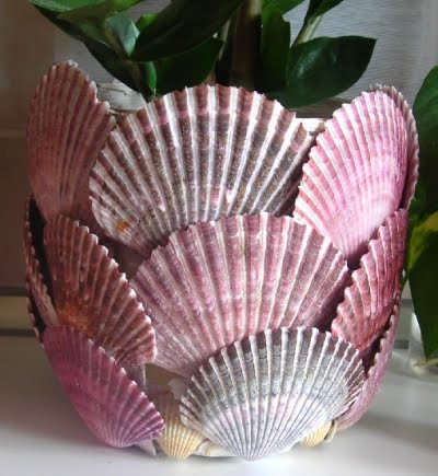 planter with scallop sea shells