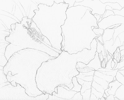 WIP Hibiscus Painting Step 1 Drawing WIP Hibiscus Painting Step 1 Drawing