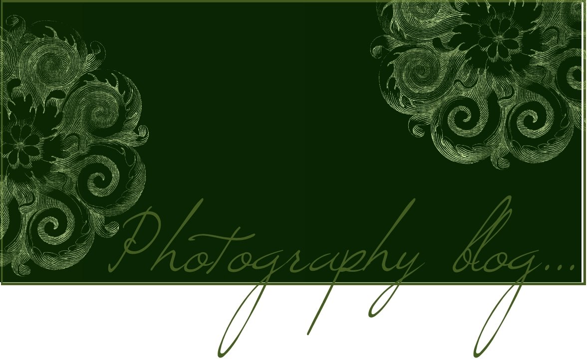 Kincaid Expressions Photography Blog