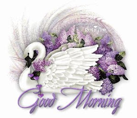 Good Morning to everyone !