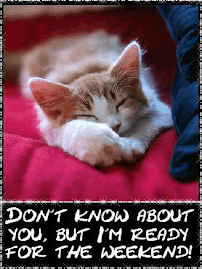 Its the Weekend !!!!