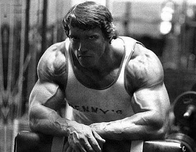 arnold_schwarzenegger_shoulders.jpg