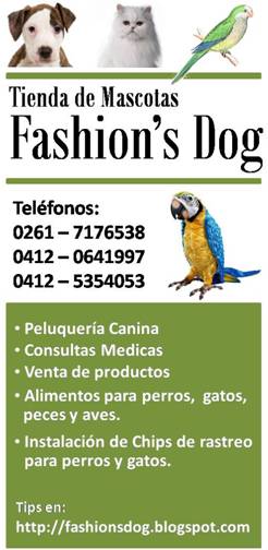 INICIO FASHON'S DOG