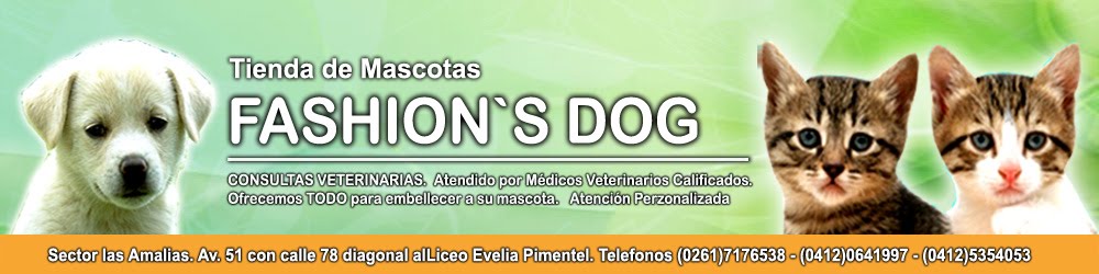 Pet Shop Fashion's Dog