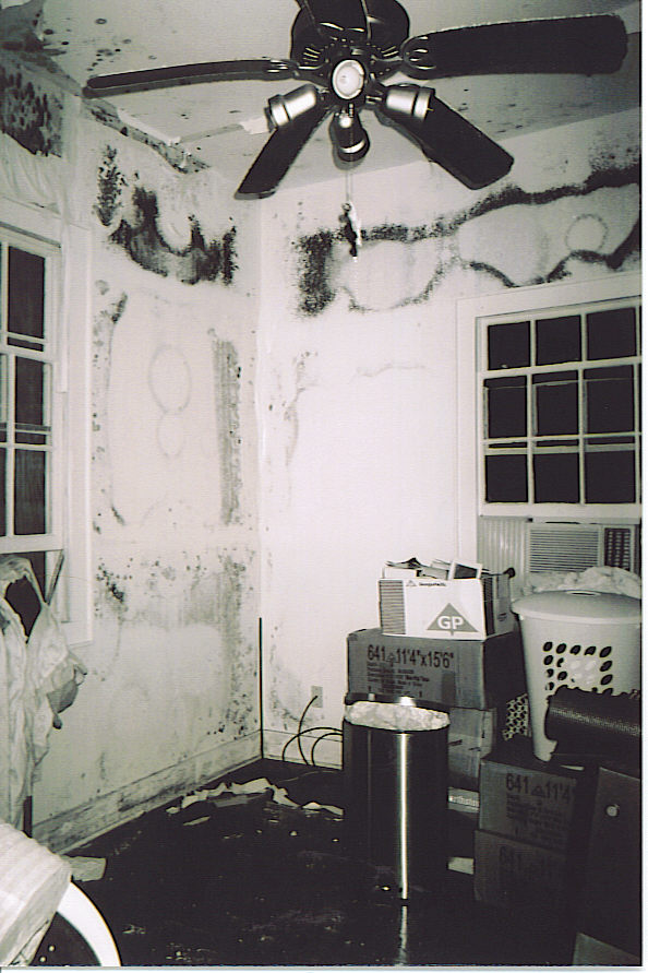living room | october 2005