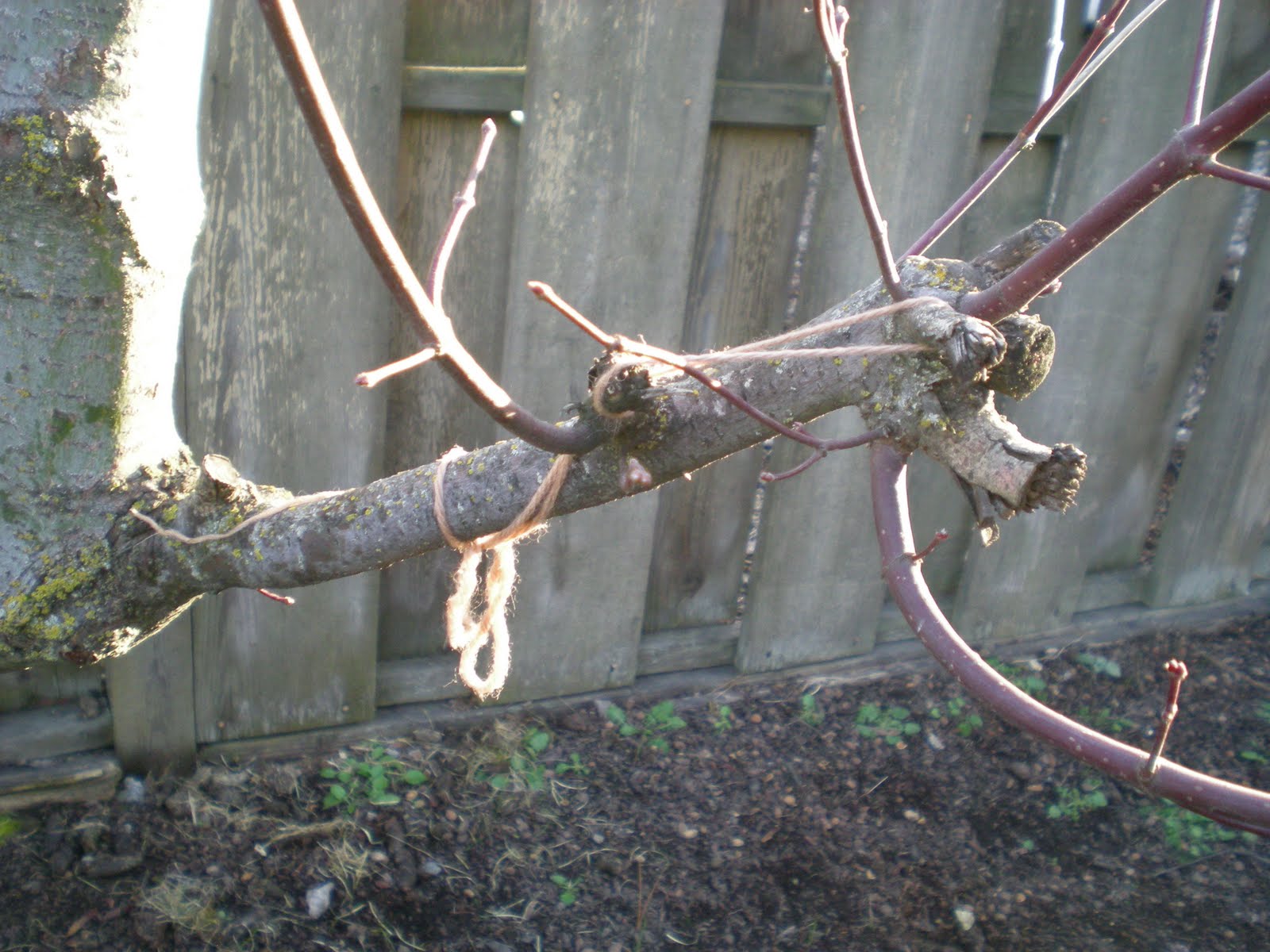 [DSCN6511.JPG]