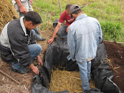 compactacion del rastrojo