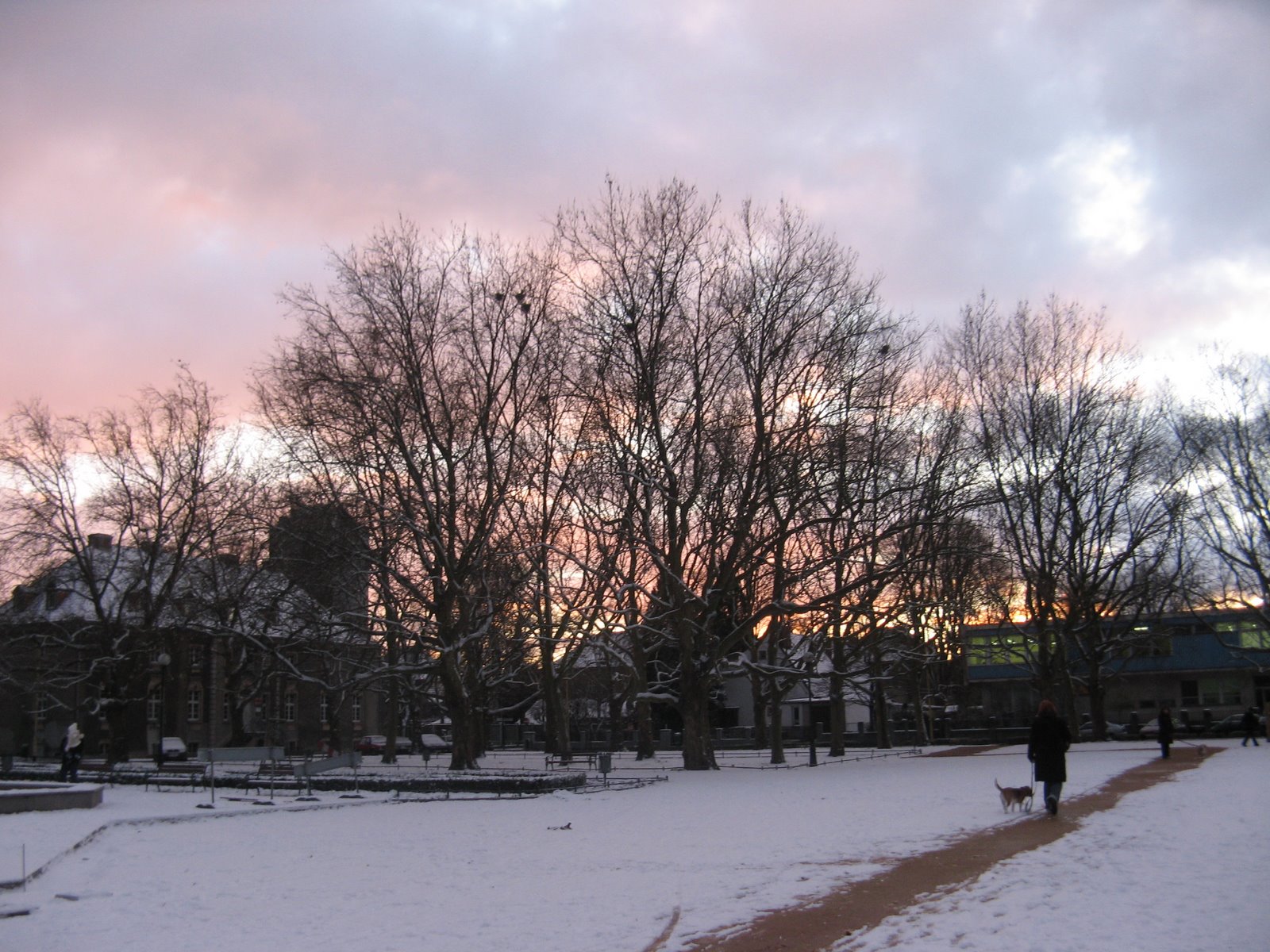 [Picture+031.jpg]