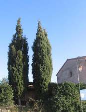 Cyprès près d’une maison provençale