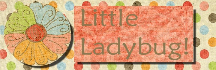 Little Ladybug