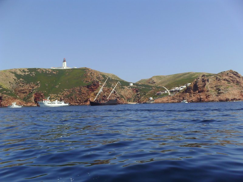 [002-PICT0012.JPG]
