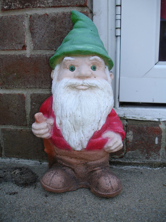 Gned the Gnome