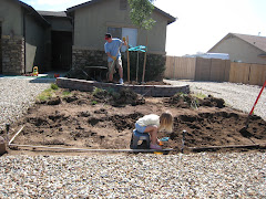 Front Yard Before