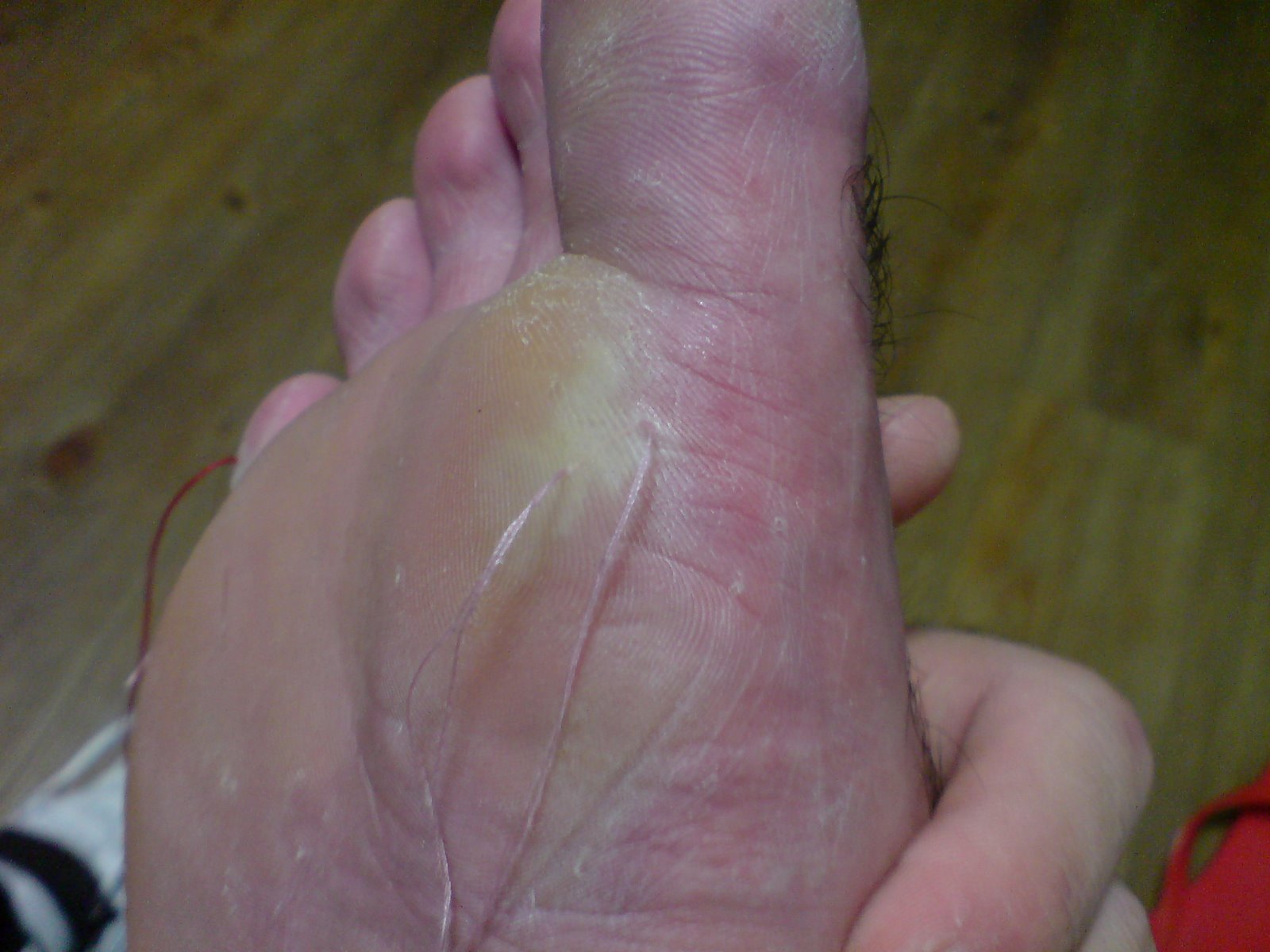 [DSC00185.JPG]