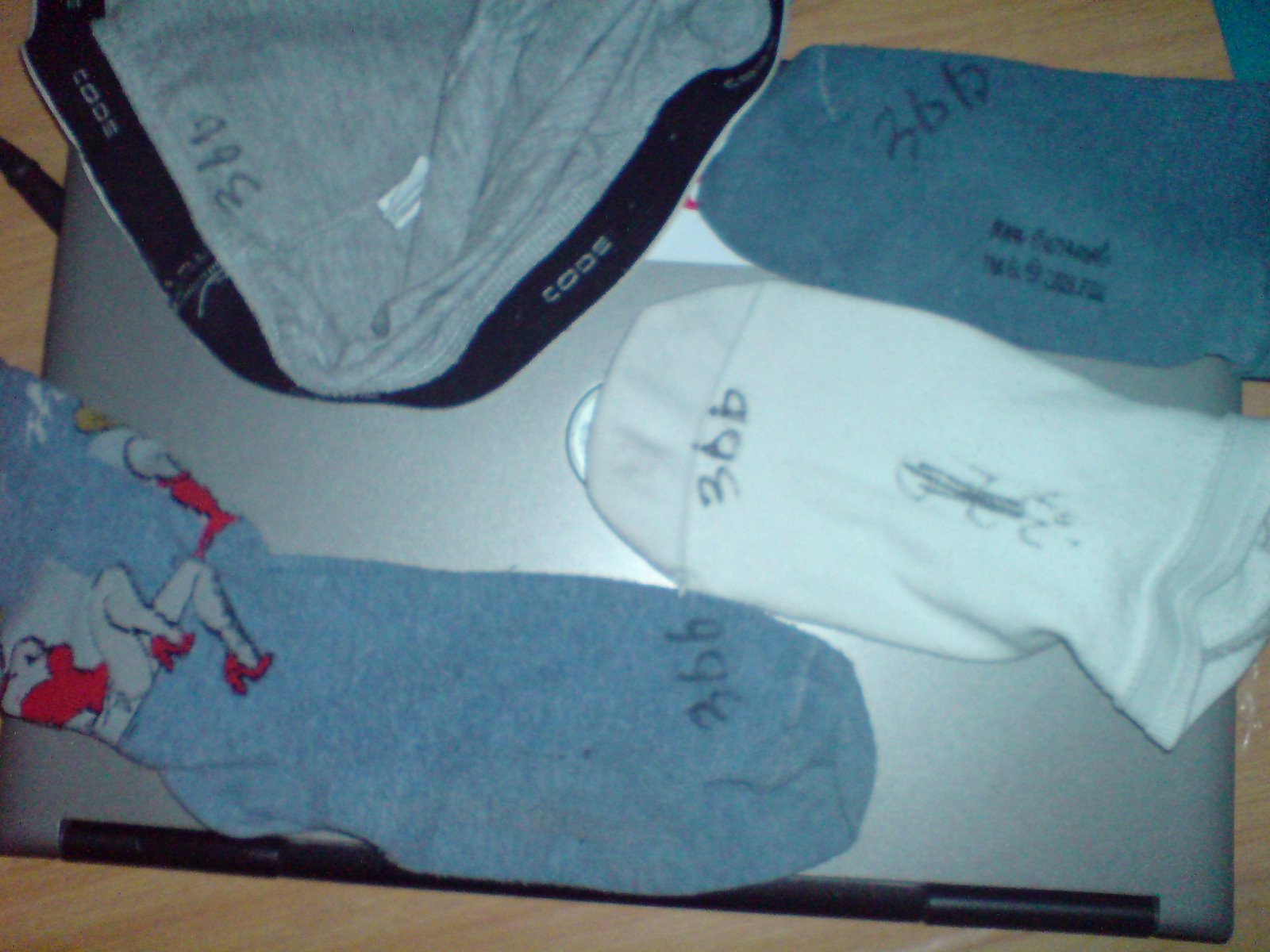 [DSC00348.JPG]