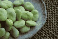 Fava beans after shelling