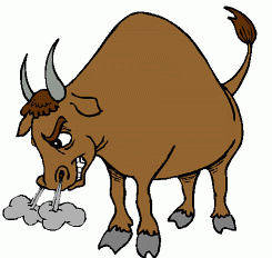 [animal_angrybull2.gif]