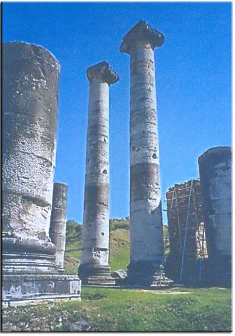 [sardes-04.jpg]