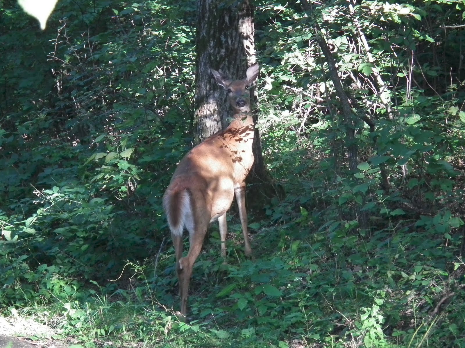 http://2.bp.blogspot.com/_q_DxLcObhWA/THx-t12wHaI/AAAAAAAABXo/csIKplSE6e8/s1600/Minnesota+2010+215.jpg
