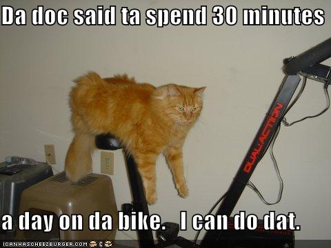 [funny-pictures-cat-excercise-bike.jpg]