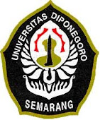 UNDIP