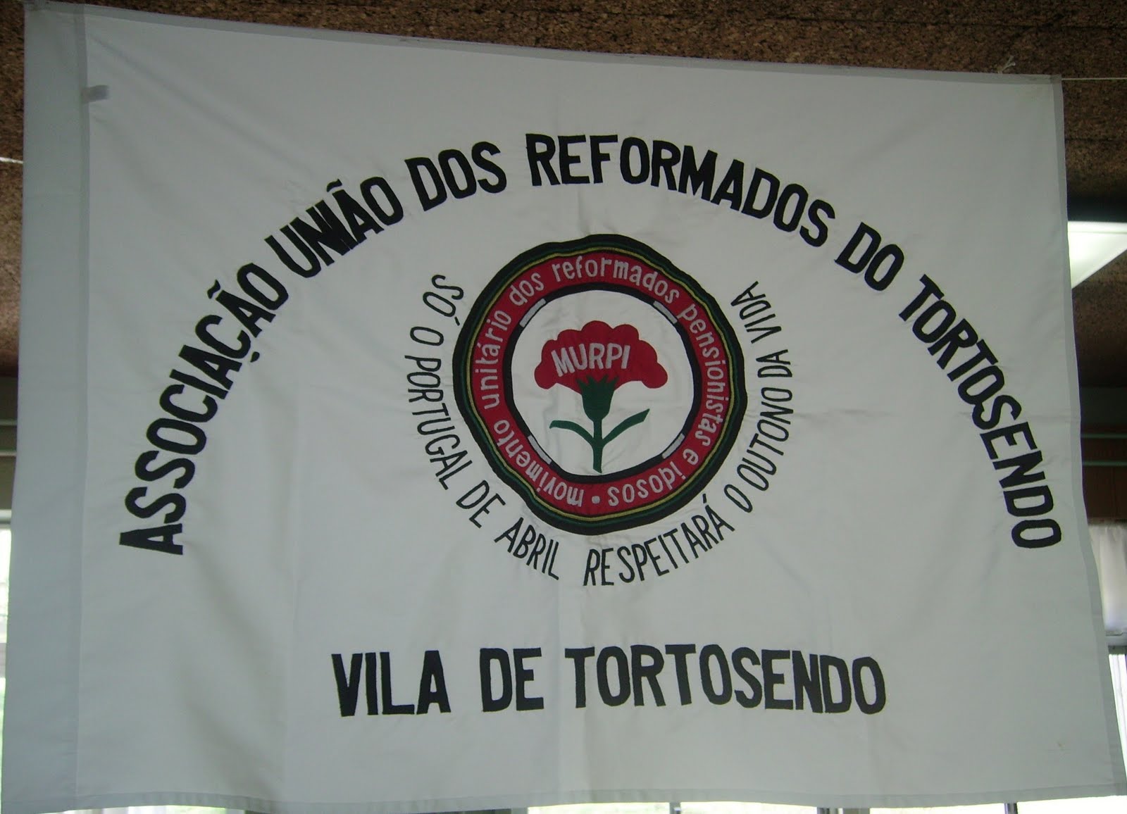 [IMGP3244.JPG]