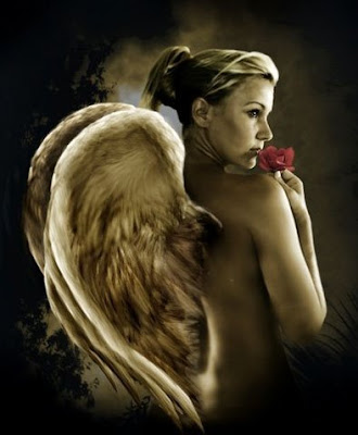 anjo,angel,tempo,flores,asas,vida