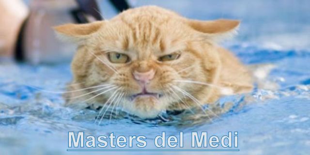 Masters del Medi