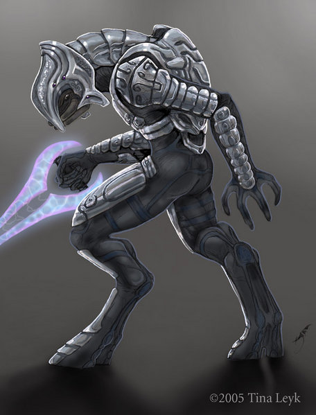 Halo002