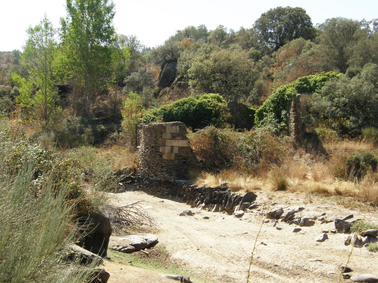 [P9071454.JPG]