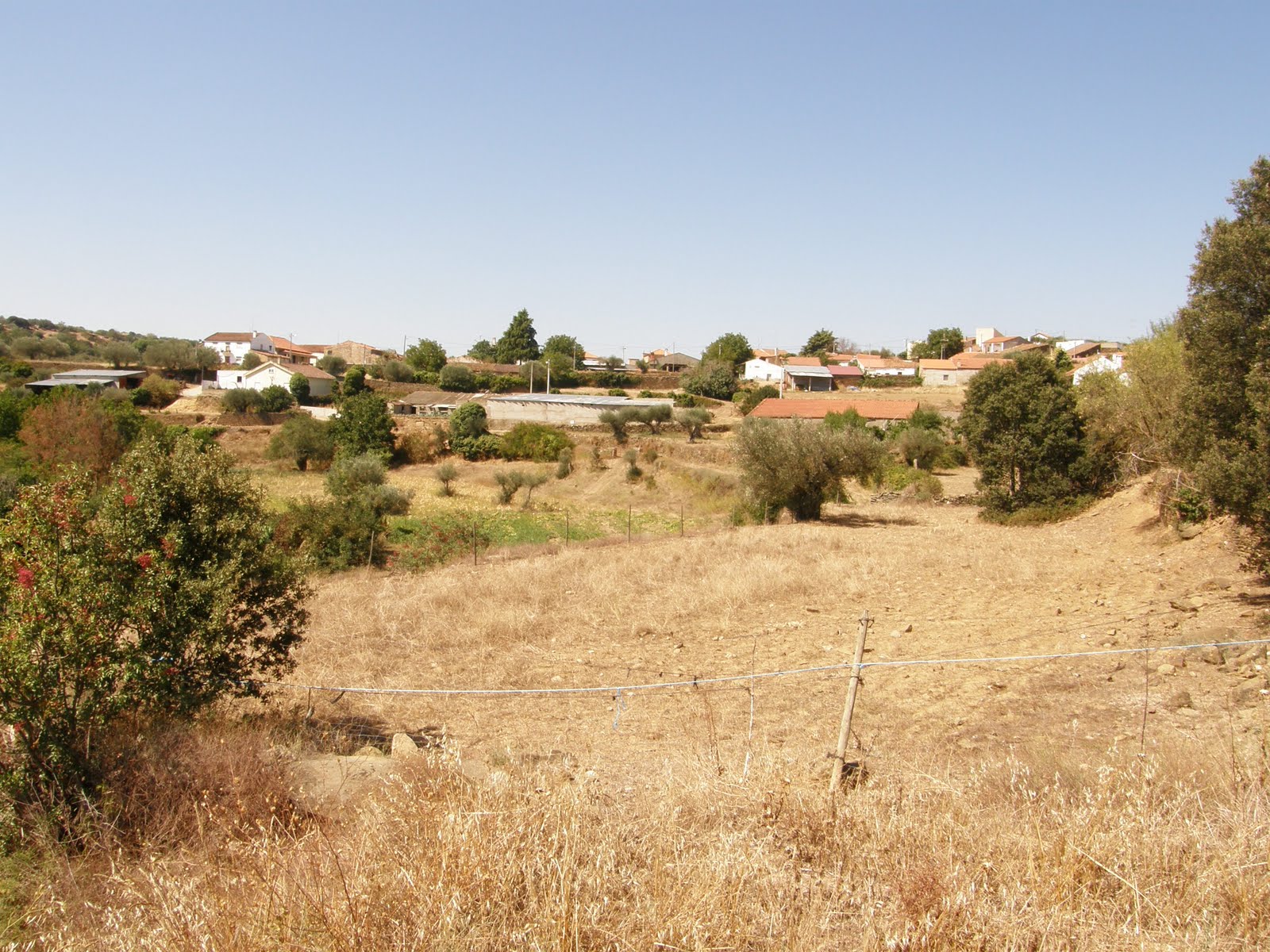 [P9071445.JPG]