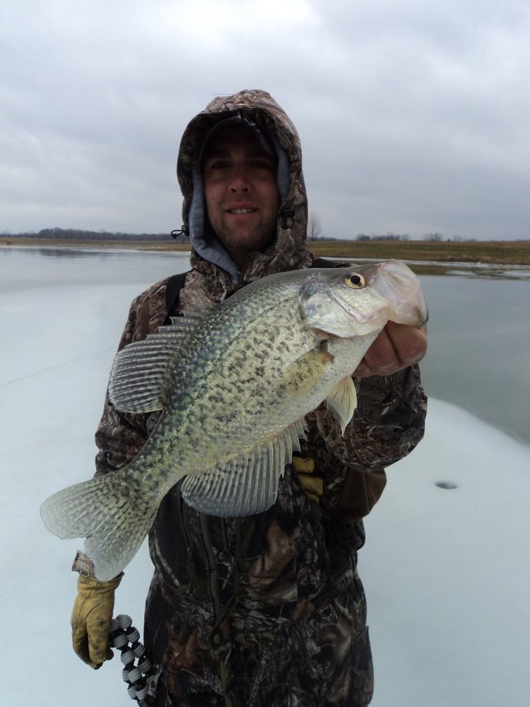 Herman Brothers Blog Ice Fishing Crappie Motherload