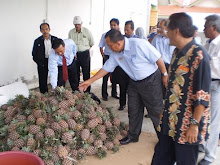 Lawatan Menteri ke Kilang