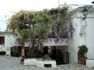 Cazuelicas: PLATO ALPUJARREÑO