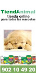 Amor  de Mascota