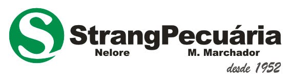 Strang Pecuária | Blog