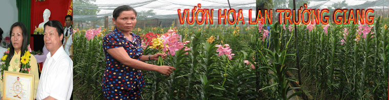 HOA LAN TRƯỜNG GIANG