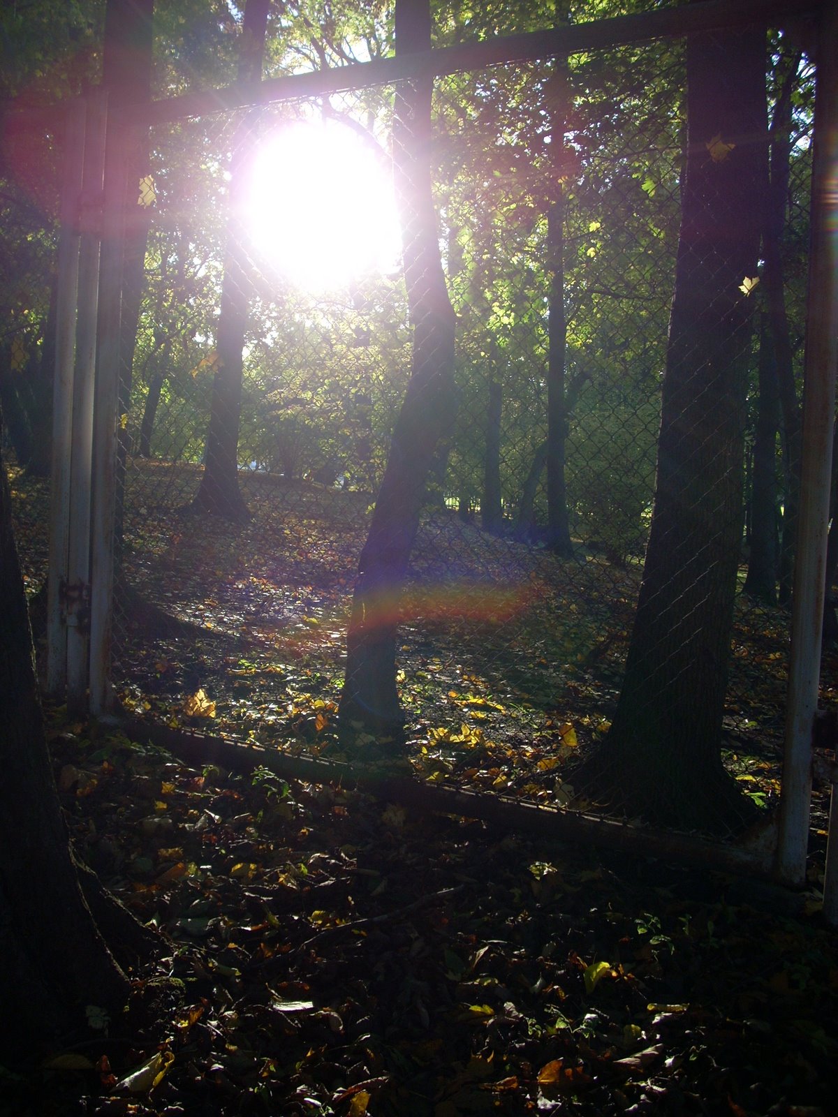 [DSCN1436.JPG]
