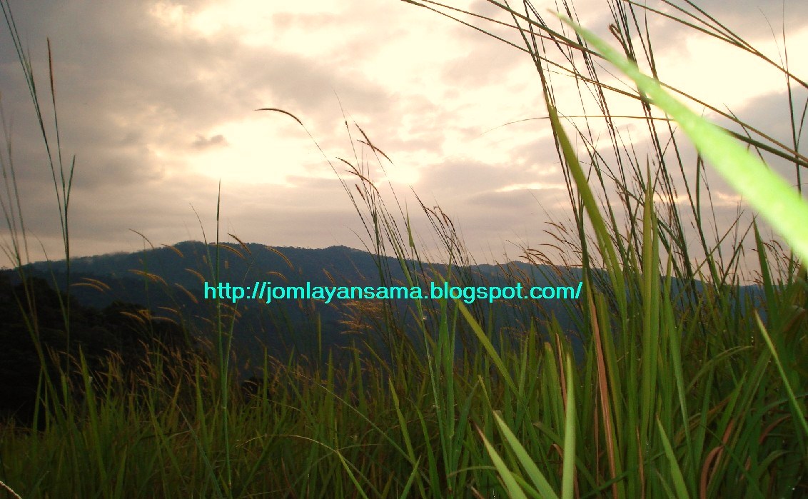 Pencemaran Asap Kenderaan