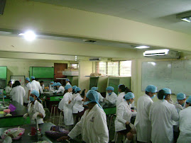 El laboratorio