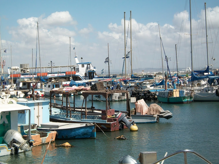 Port of Akko