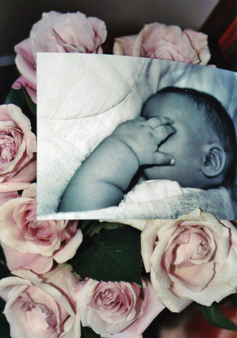 Baby in Roses