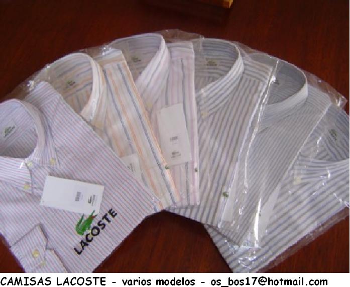 CAMISAS LACOSTE - MUESTRAS