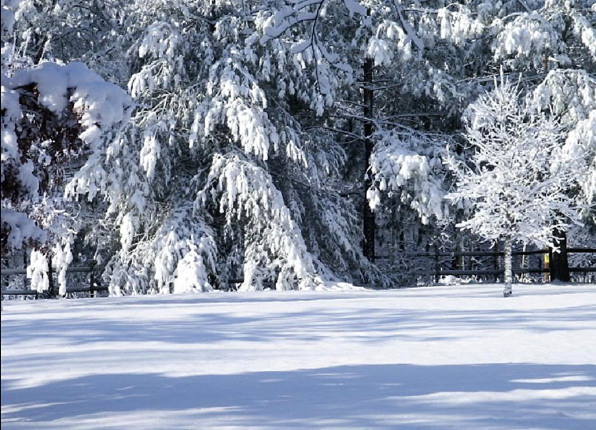 [Baby...Outside2a.jpg]