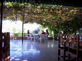 Bodrum Tatil Rehberi Temmuz 2009