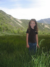 Belle in Nephi Canyon