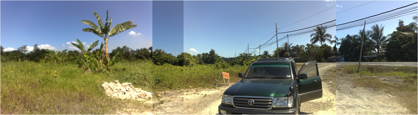 Potential Land for Sale Along Pan Borneo Highway, Beaufort