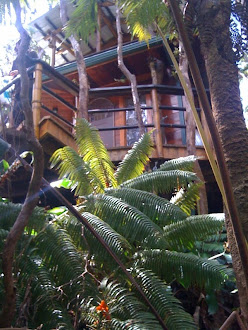 Treehouse on the volcano