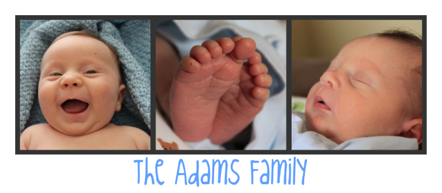 The Adams Family