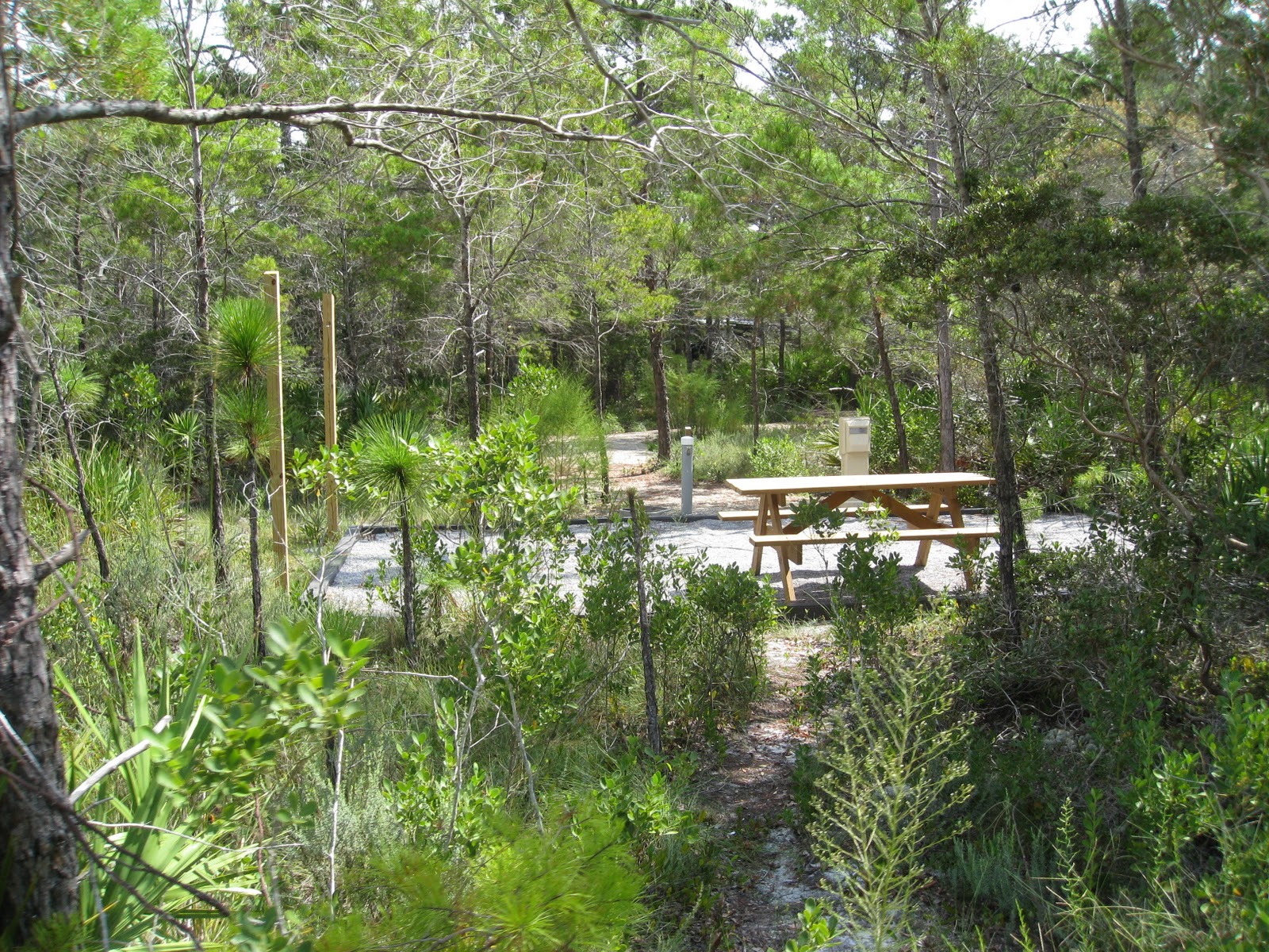 camping info, the stuff you need to know Topsail Hill Preserve State Park, Gregory E. Moore RV